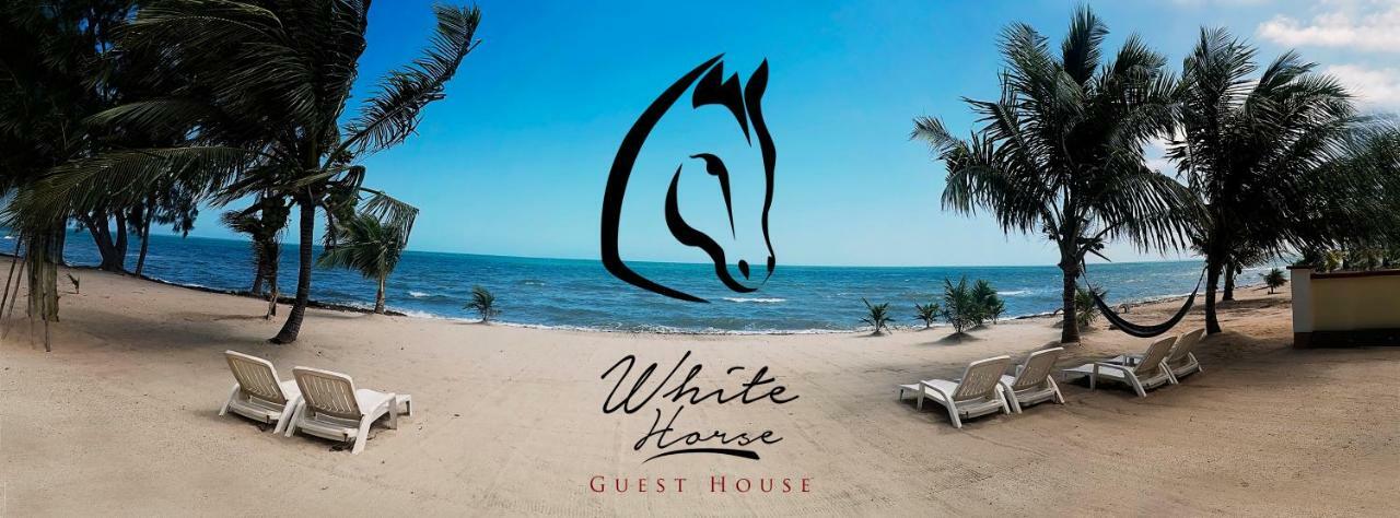 Inn At White Horse Guest House Hopkins Esterno foto