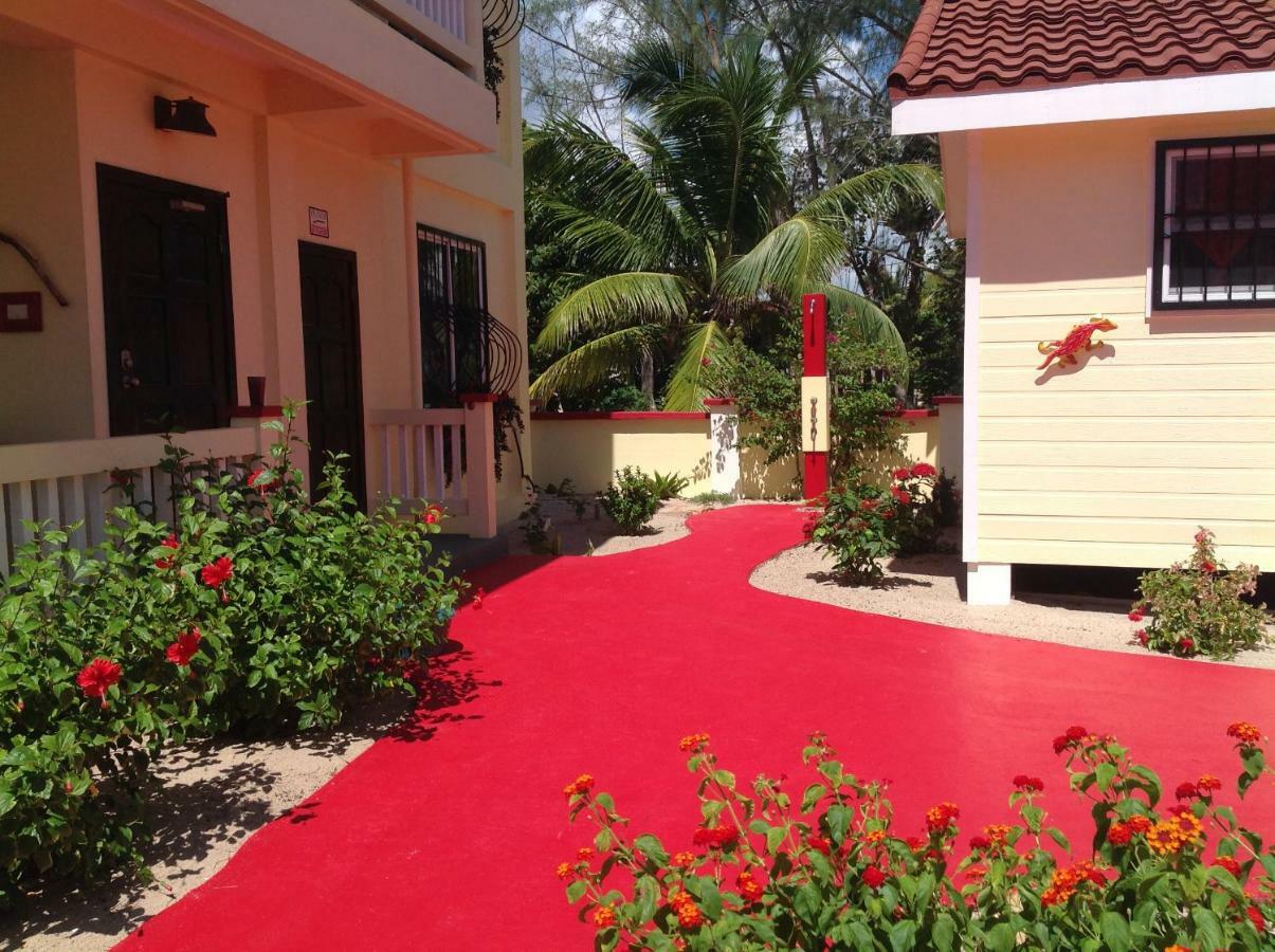 The White Horse Inn - Hopkins Village Beach Belize Esterno foto